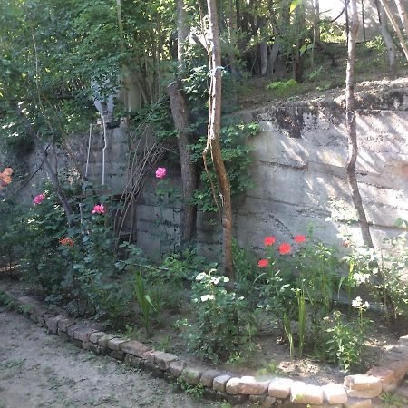 Guesthouse Malkhazi Borjomi Luaran gambar