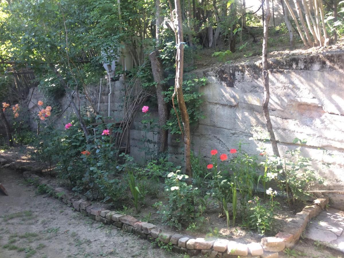 Guesthouse Malkhazi Borjomi Luaran gambar