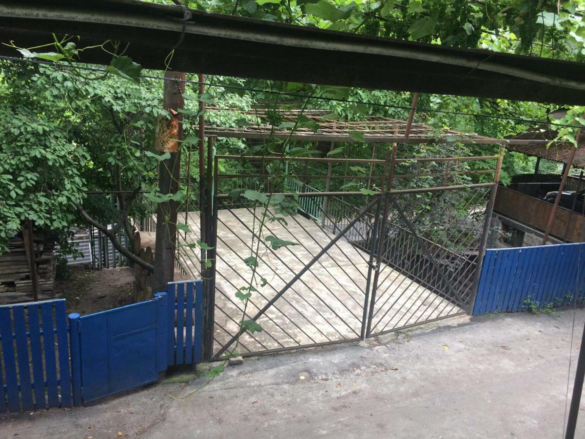 Guesthouse Malkhazi Borjomi Luaran gambar